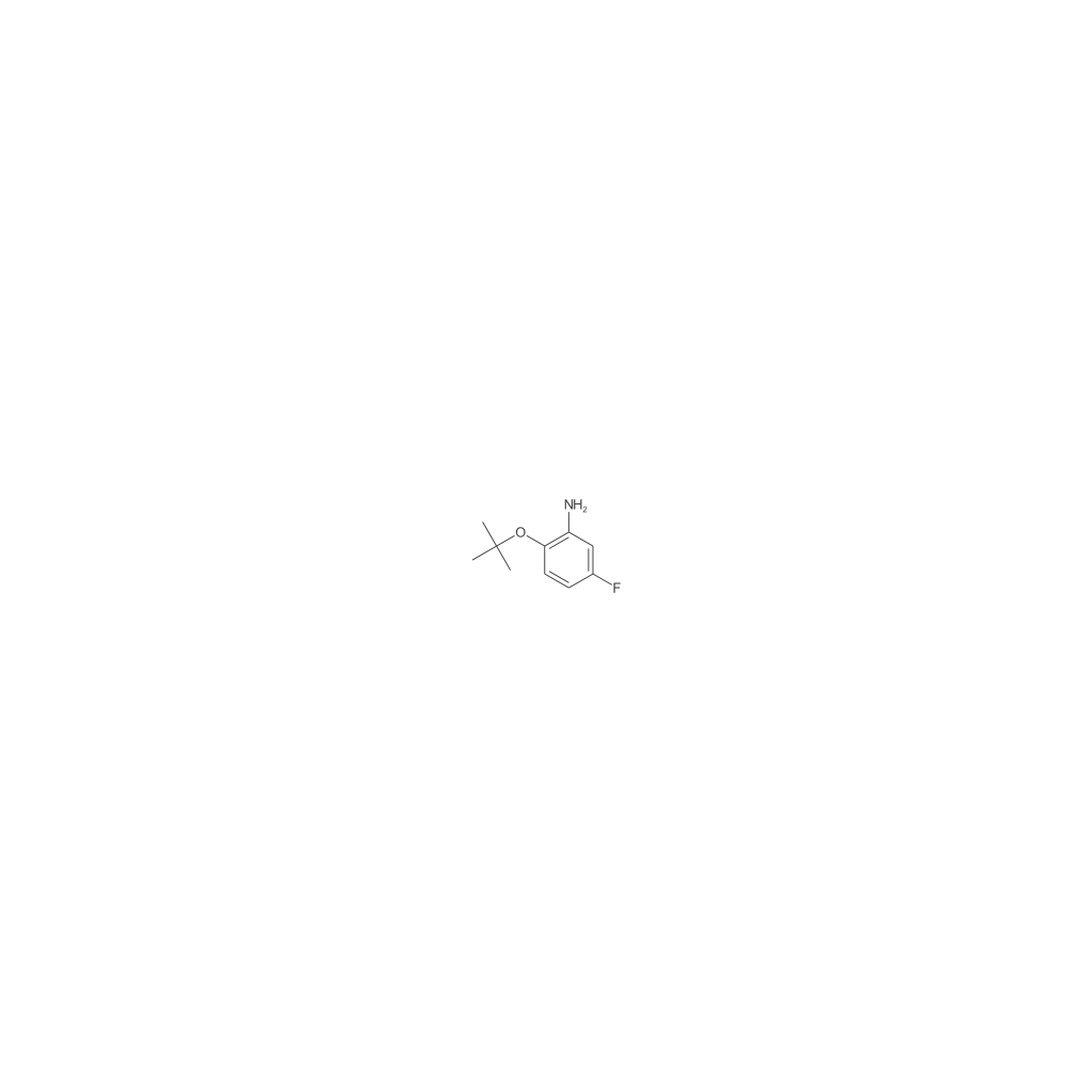 2-(叔丁氧基)-5-氟苯胺