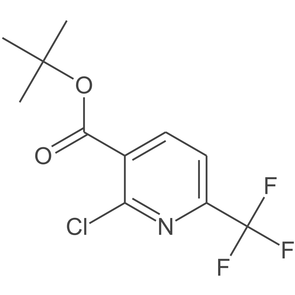 2-氯-6-(三氟甲基)烟酸叔丁酯
