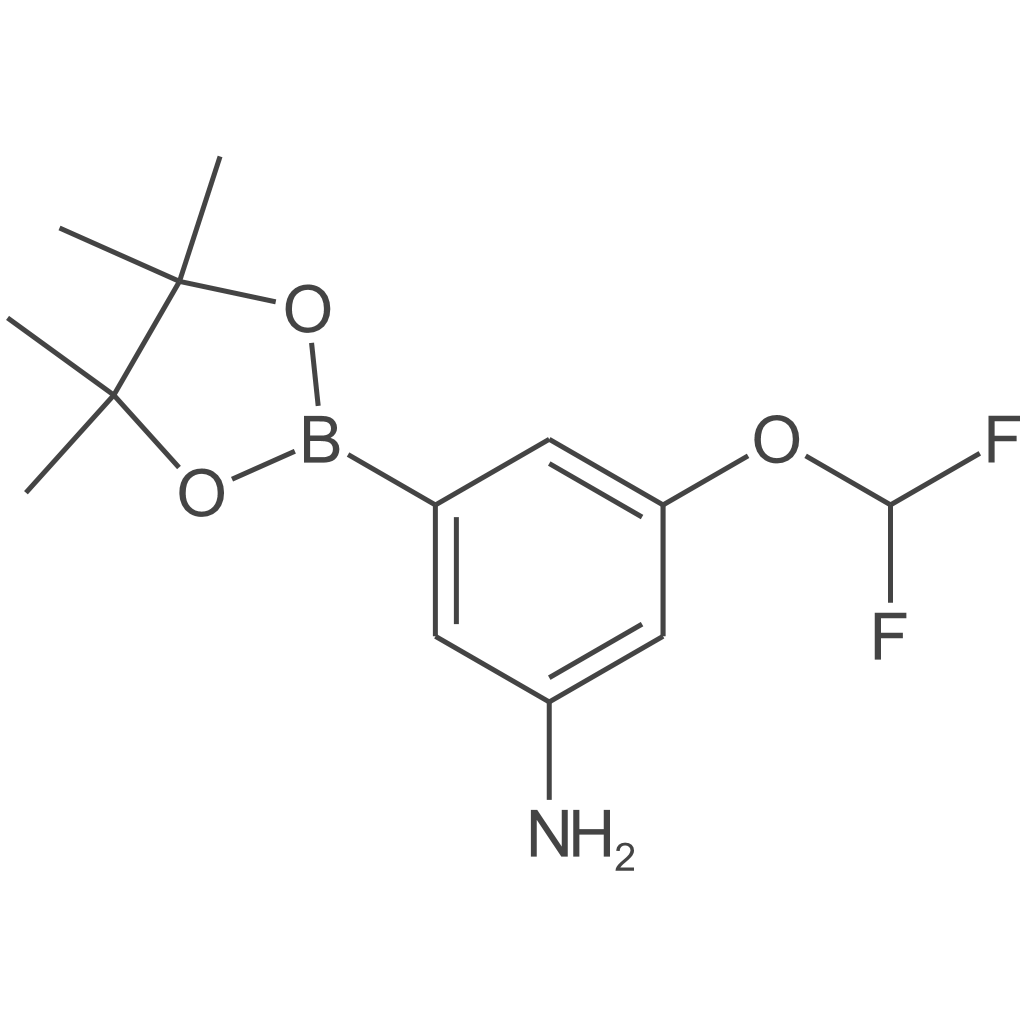 3-(二氟甲氧基)-5-(4,4,5,5-四甲基-1,3,2-二氧硼戊烷-2-基)苯胺