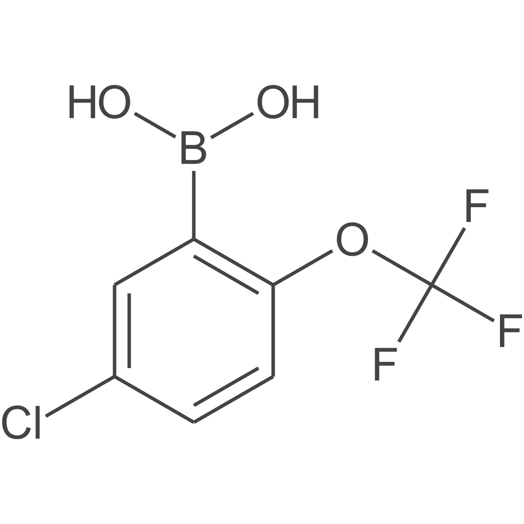 [5-氯-2-(三氟甲氧基)苯基]硼酸
