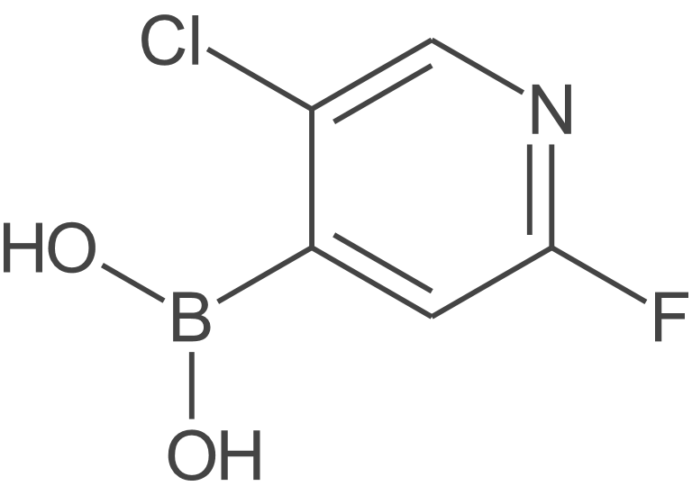 2-氟-5-氯吡啶-4-硼酸