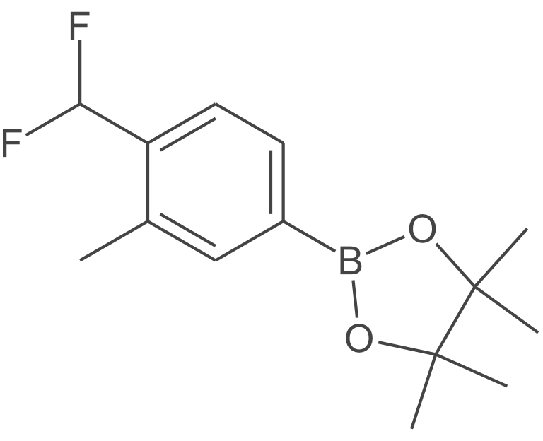 2-[4-(二氟甲基)-3-甲基苯基]-4,4,5,5-四甲基-1,3,2-二氧杂硼烷