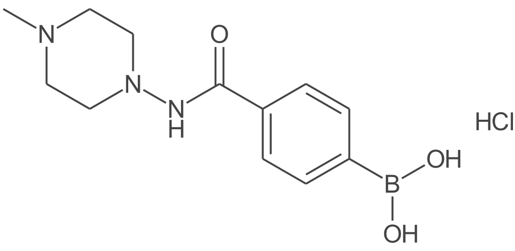 (4-(4-甲基哌嗪-1-羰基)苯基)硼酸盐酸盐