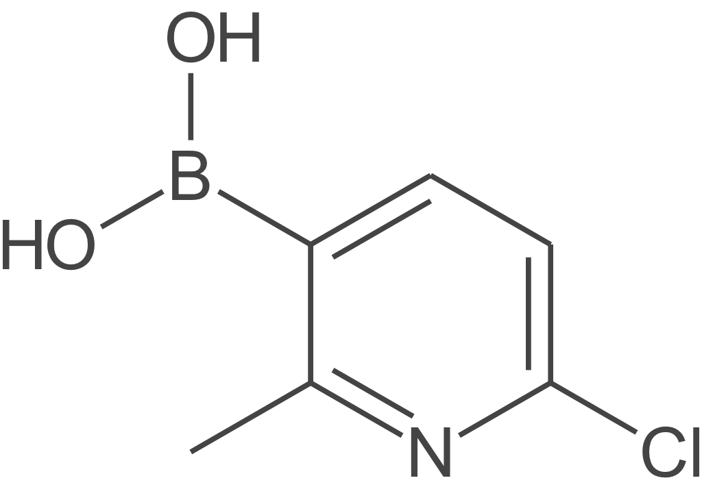 6-氯-2-甲基吡啶-3-硼酸