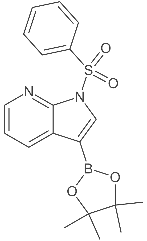 1-苯磺酰基吡咯并吡啶-3-硼酸酯