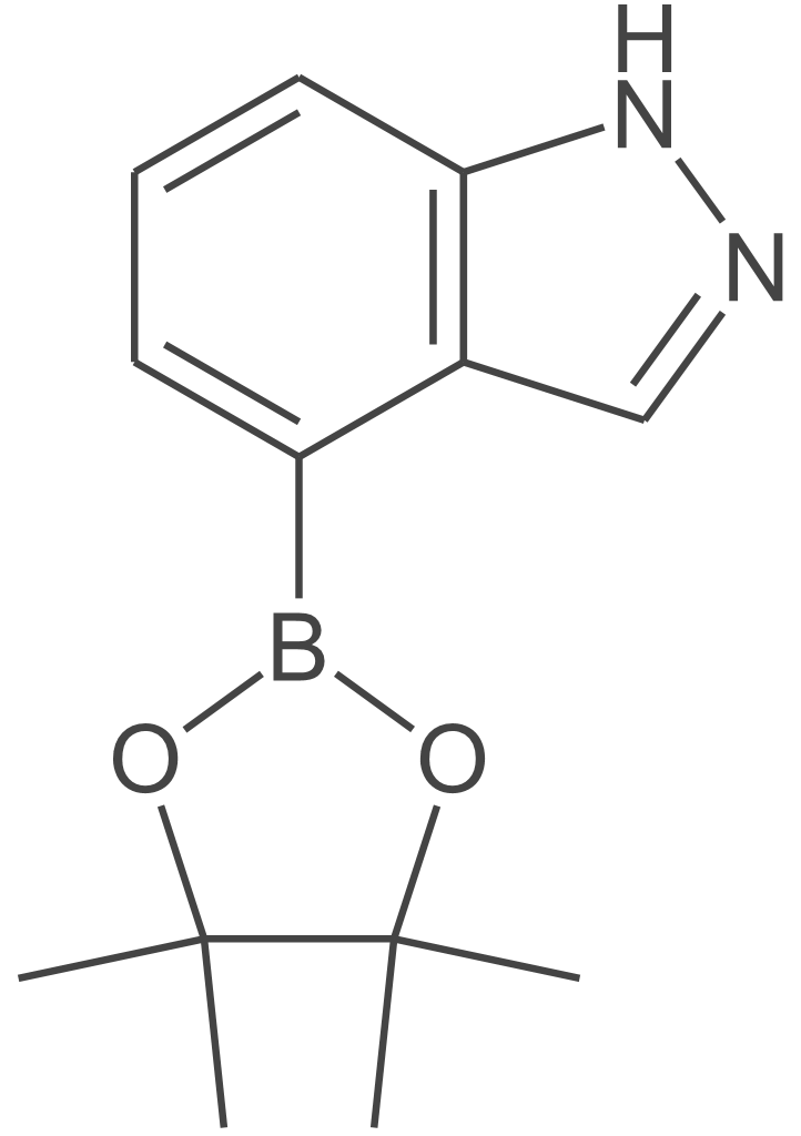 1H-吲唑-4-硼酸频哪醇酯