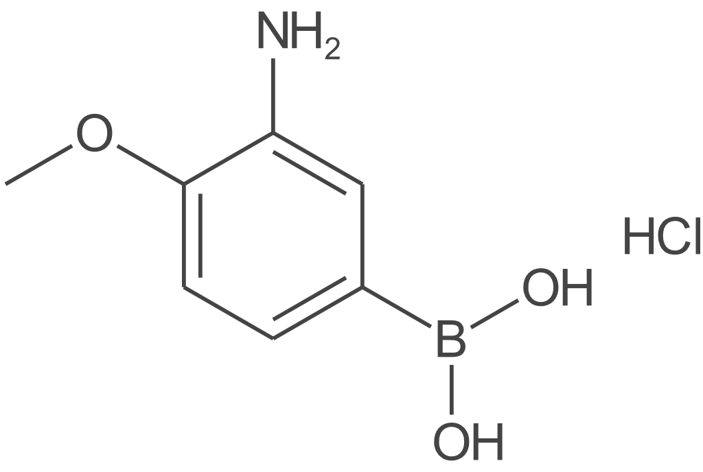 (3-氨基-4-甲氧基苯基)硼酸盐酸盐