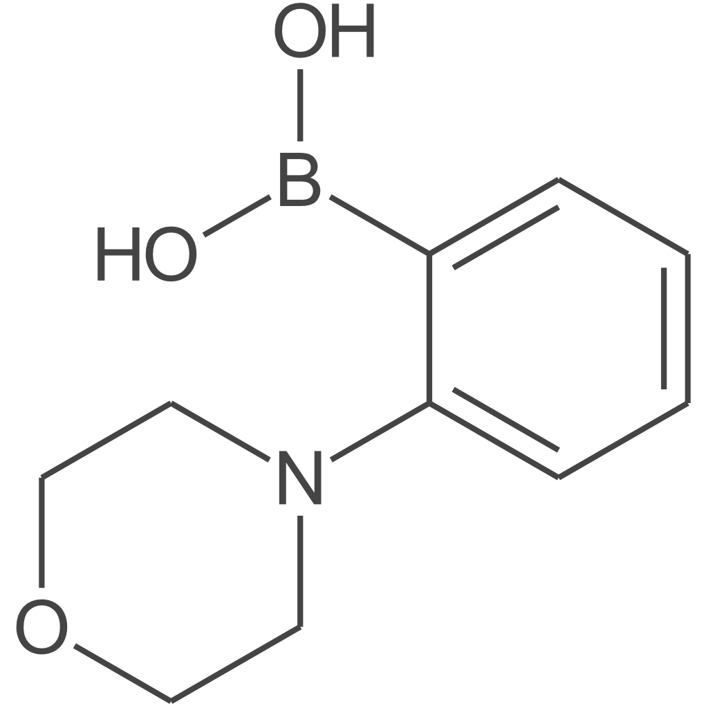 2-吗啉苯硼酸