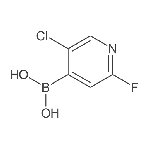 2-氟-5-氯吡啶-4-硼酸