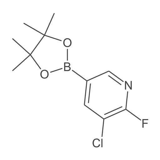 3-氯-2-氟-5-(4,4,5,5-四甲基-1,3,2-二氧杂硼烷-2-基)吡啶